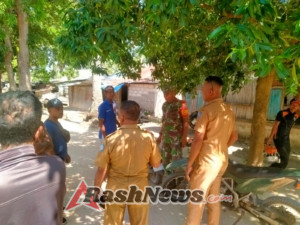 Babinsa dan BNPB Bersama Warga Gotong Royong Tangani Dampak Pohon Tumbang