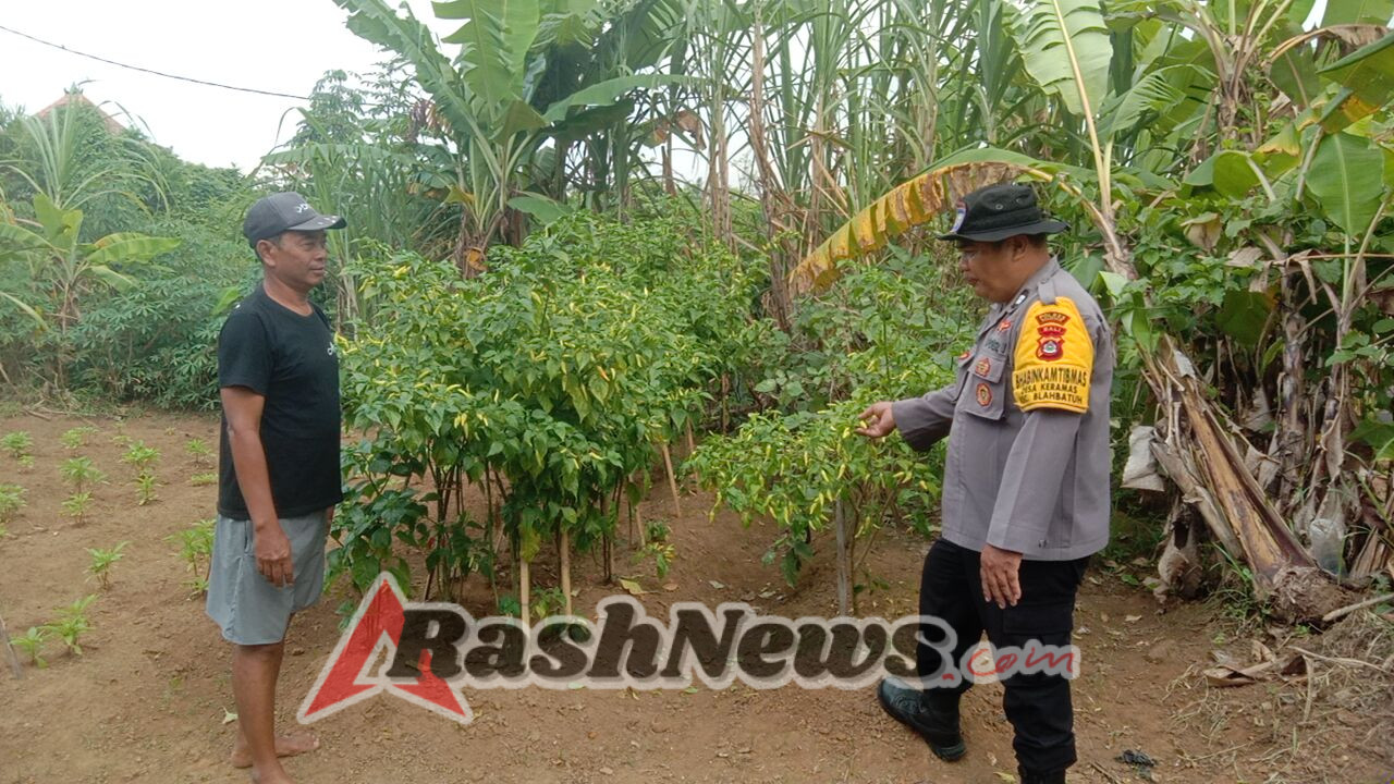 Polsek Blahbatuh Dukung Program Pangan Bergizi Lewat Pemanfaatan Pekarangan