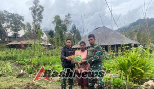 Satgas Yonif 743/PSY Bantu Masyarakat Papua Ciptakan Kebun Kemandirian