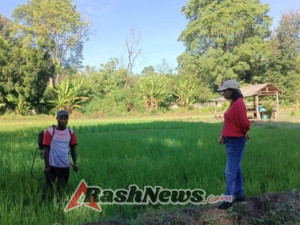 Babinsa Sertu Densius Berno Hadir di Tengah Petani, Wujudkan Ketahanan Pangan di Wilayah Binaan