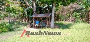 Sertu Neryanto Aktif Kawal Pertanian Padi di Kelurahan Temu