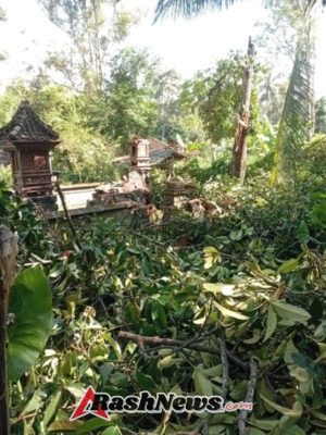 Pohon tumbang menimpa pelinggih, Babinsa 1623-04/Sidemen bersama BPBD bergerak cepat laksanakan penanganan.