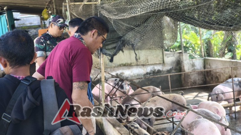 Dukung Kesejahteraan Warga, Babinsa Desa Landih Laksanakan Pendampingan Monitoring Ketahanan Pangan Peternakan Babi