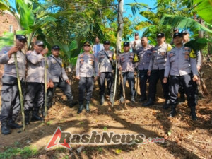 Polsek Pupuan Sulap Lahan Kosong Jadi Kebun Jagung, Wujud Nyata Dukung Ketahanan Pangan