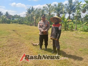 Penyiapan Lahan Tanaman Jagung Polsek Seltim Dukung Penuh Program Ketahanan Pangan Nasional.