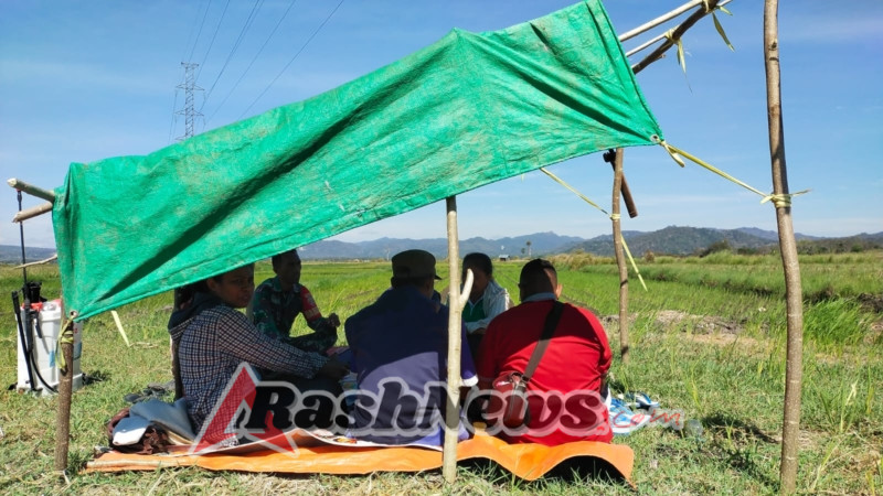 Babinsa Koramil 1618-05/Biut Laksanakan Komsos di Desa Hauteas, Bahas Ketahanan Pangan dan Kendala Petani
