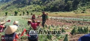 TNI Bersama Rakyat: Babinsa Hadir di Tengah Sawah