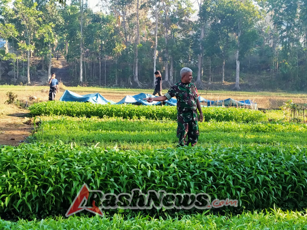 Babinsa Laksanakan Komsos dengan Petani Sayur di Desa Modu Waimaringu