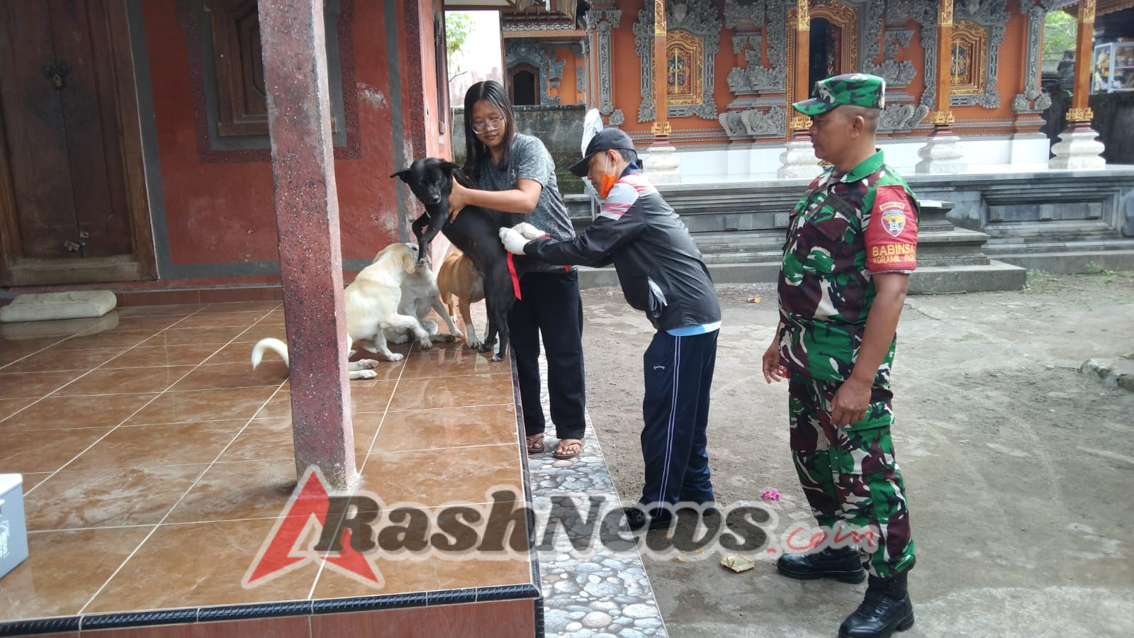 Danramil Apresiasi Peran Babinsa Petak Kaja dalam Pendampingan Vaksinasi HPR dan PMK