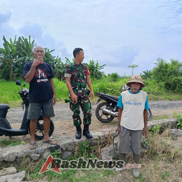 Perkuat Sinergi dengan Petani, Babinsa Dorong Kesejahteraan dan Kemandirian Pangan