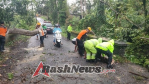 Polsek Bebandem bersama BPBD Karangasem dan masyarakat Tohpati lakukan penanganan Batang Pohon Jenis Bunut Patah,