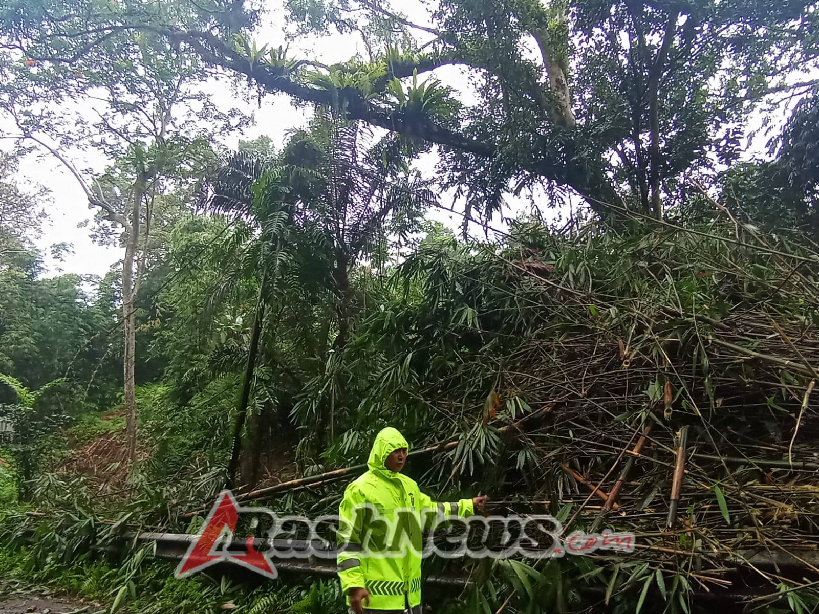 Hujan Deras di Kecamatan Susut, Polsek Susut Gerak Cepat Tangani Pohon Tumbang dan Saluran Irigasi Jebol