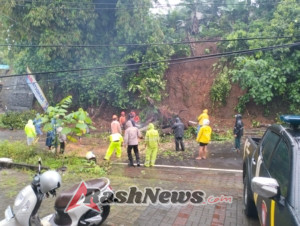 Polsek Gianyar Bersama BPBD dan Samapta Polres Evakuasi Pohon Tumbang di Perbatasan Gianyar – Beng