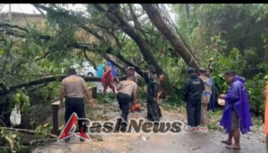 Polri Sigap Bantu Warga Terdampak Bencana Alam Akibat Cuaca Ekstrem di Kediri Tabanan