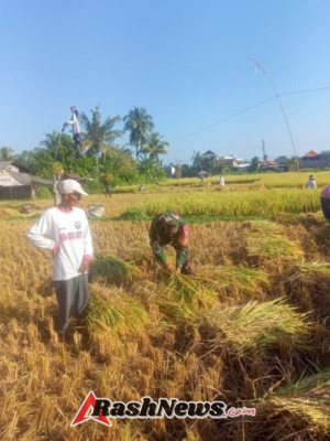 Koramil 1609-03/Seririt Distribusikan Pompa Air untuk Dukung Ketahanan Pangan