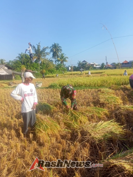 Koramil 1609-03/Seririt Distribusikan Pompa Air untuk Dukung Ketahanan Pangan