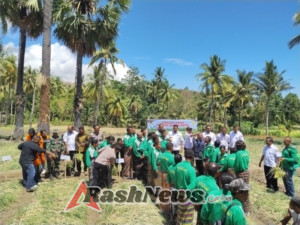 Plh Danramil 1603-02/Talibura Hadiri Panen Bawang Bersama Bupati dan Forkopimda Sikka