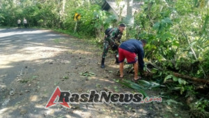 Antisipasi pohon tumbang menimpa pengendara, Koramil 1623-06/Selat laksanakan pemangkasan pohon.