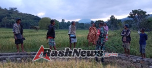 Komsos Babinsa di Sawah, Bukti Nyata Kemanggulan TNI-Rakyat