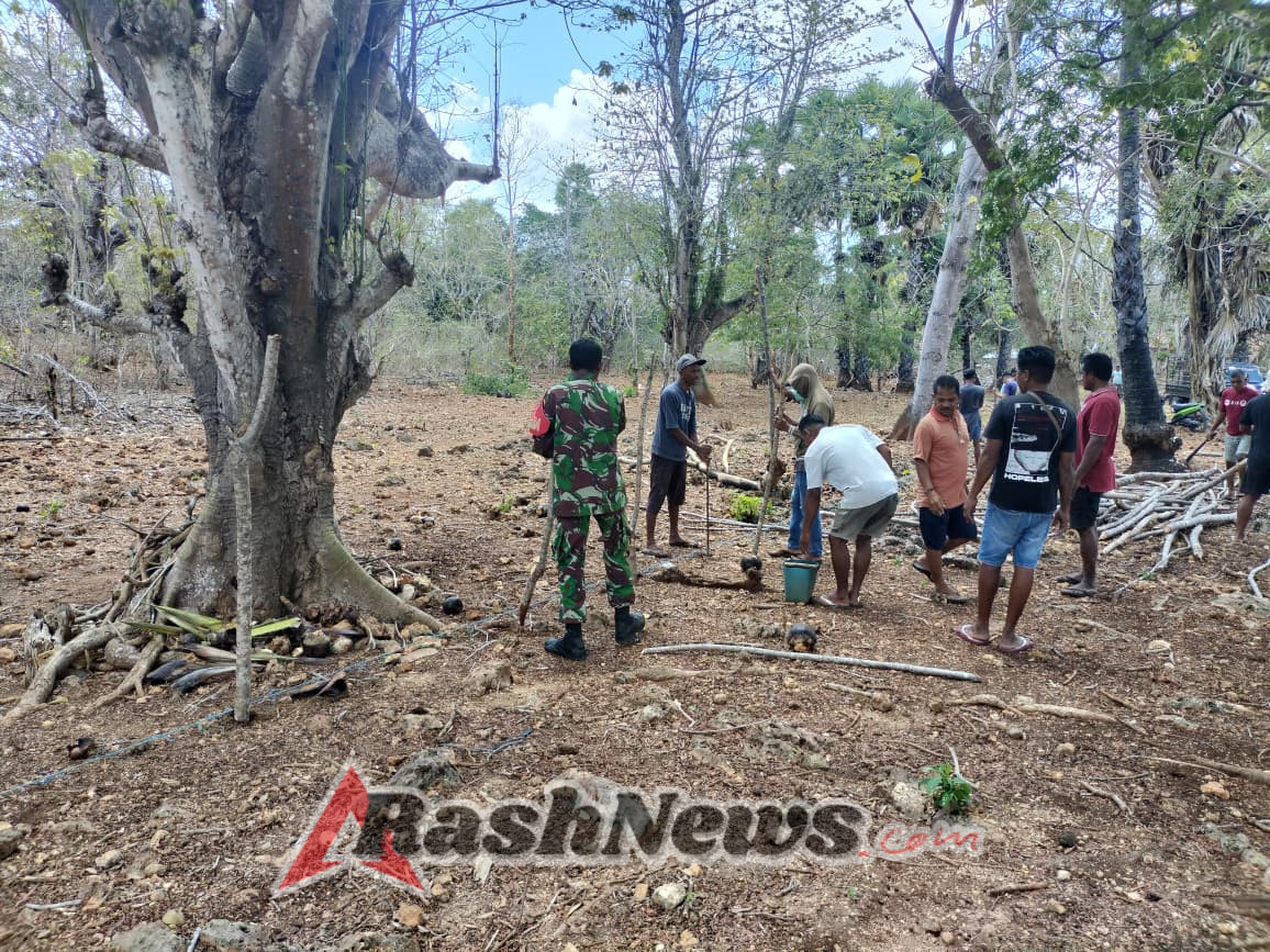 Babinsa Pantai Baru Dampingi Warga Tesabela Gotong Royong Bangun Pagar Kebun