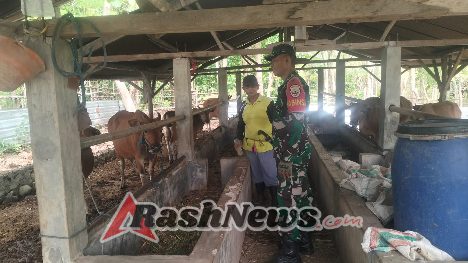 Babinsa Jadi Garda Terdepan Dalam Program Legalitas dan Vaksinasi Ternak di Sumbawa Barat