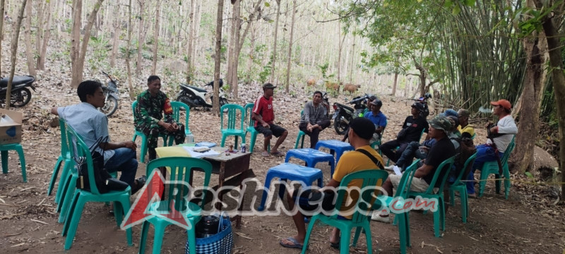 Babinsa Kelanir Aktif Dukung Registrasi Ternak oleh Dinas Pertanian di Seteluk