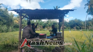 Sinergi di Sawah: Babinsa Sumberkima Turun Langsung Dampingi Petani Tingkatkan Ketahanan Pangan