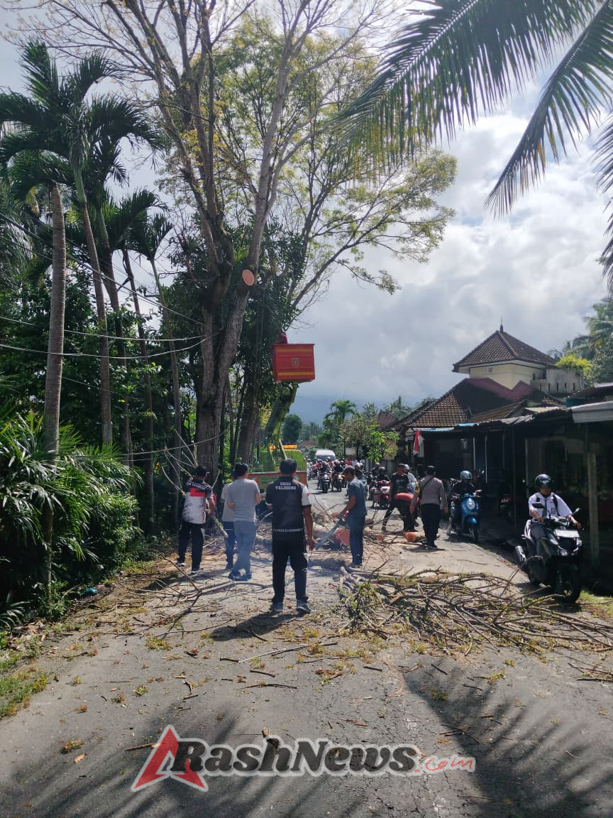 Babinsa Koramil 1623-04/Sidemen bersinergi amankan kegiatan pemangkasan dahan pohon oleh DLH.