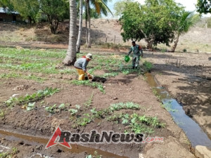 Serka Tobias Madde Dorong Pemanfaatan Lahan untuk Ketahanan Pangan