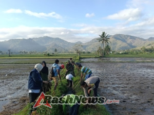 Babinsa Menala Aktif Dukung Petani Jaga Saluran Irigasi Tetap Lancar