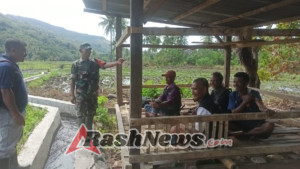 Dari Sawah ke Solusi: Babinsa Aktif Bina Petani Hadapi Hama dan Penyakit Tanaman
