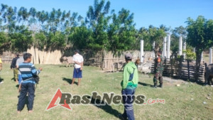 Perkuat Ketahanan Pangan, Babinsa Desa Mantar Aktif Dampingi Register dan Vaksinasi Ternak