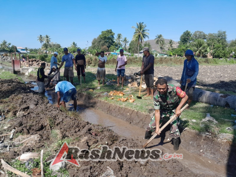 TNI dan Petani Aesesa Kompak Laksanakan Pembersihan Parit Tersier untuk Irigasi