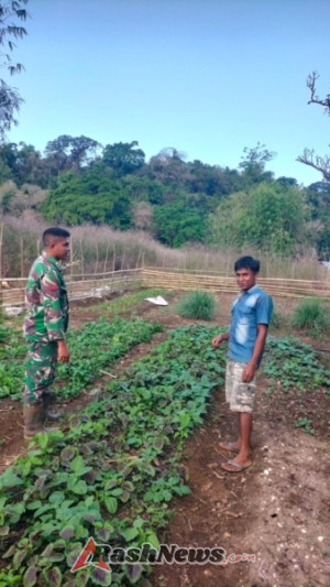 Pratu Betanius William Dukung Ketahanan Pangan Lewa Lewat Komsos Bersama Petani
