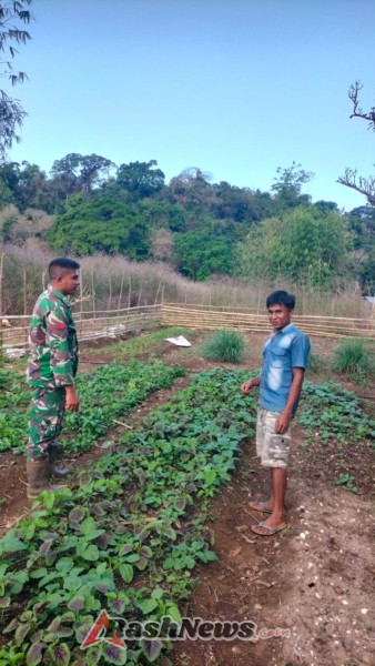 Pratu Betanius William Dukung Ketahanan Pangan Lewa Lewat Komsos Bersama Petani