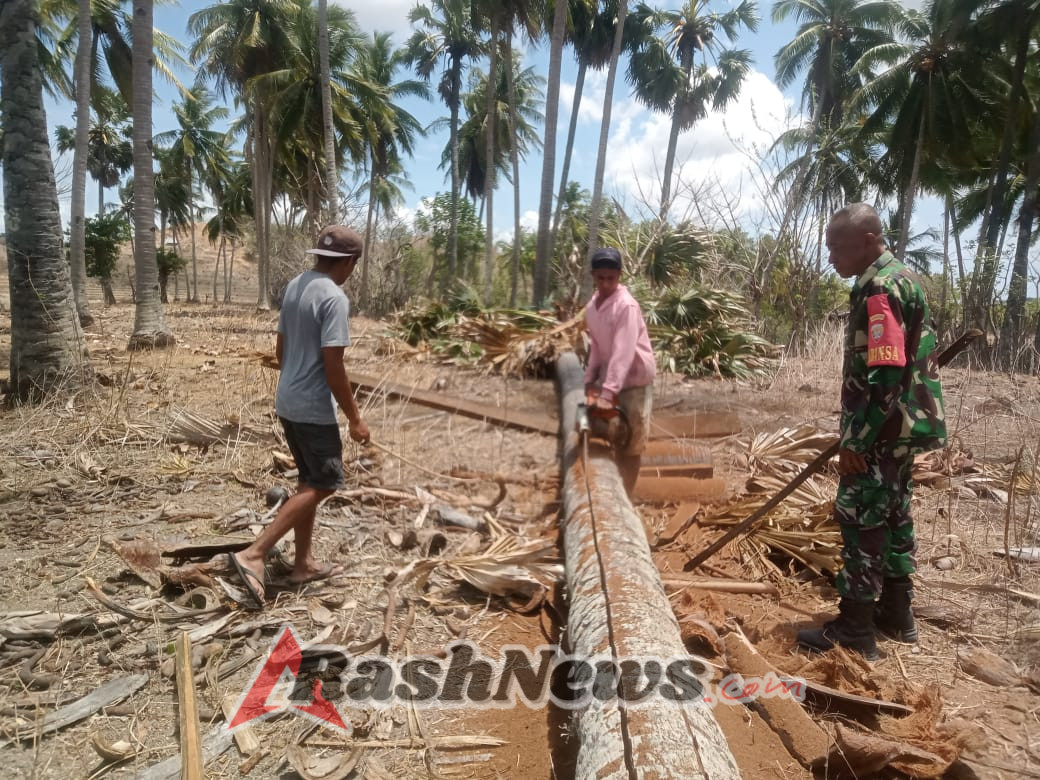 Babinsa Koramil 01/Ba’a Bantu Warga Desa Kolobolon Bangun Rumah