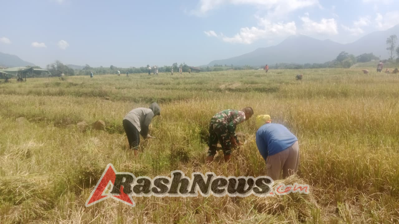 Babinsa Koramil 1612-05/Satar Mese Perkuat Silaturahmi Lewat Pendampingan Pertanian
