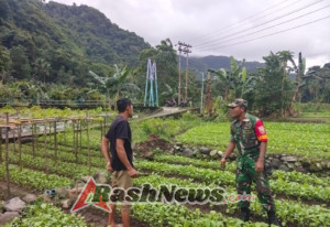 Komsos dan Han Pangan Jadi Sarana Babinsa Pererat Hubungan dengan Petani Lokal