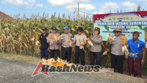 Mendukung Ketahanan Pangan nasional, Polsek Seltim Bersama Pemilik Lahan Melaksanakan Panen Raya Serentak Kuartal III Tahun 2025