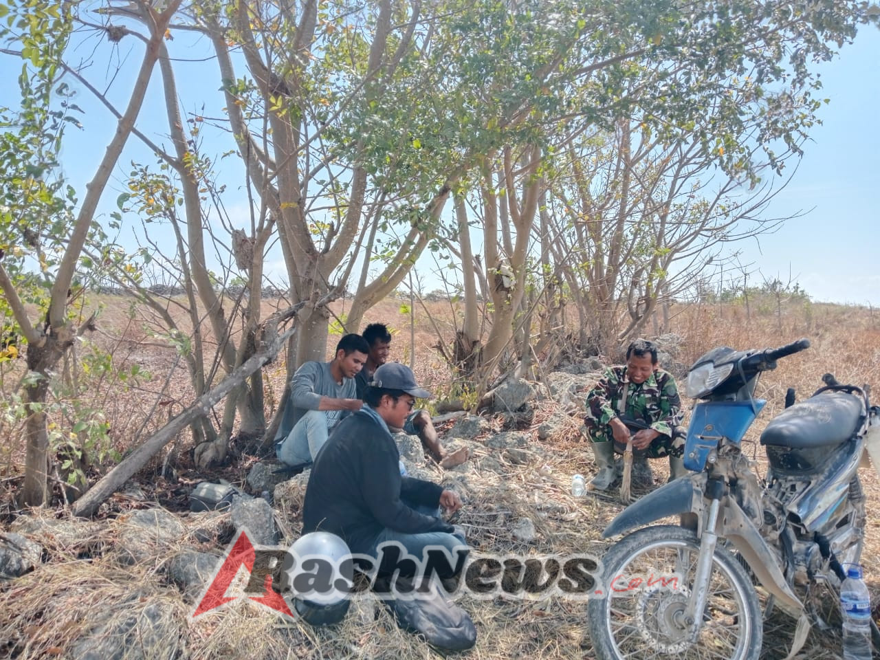 Bangun Kebersamaan, Babinsa Rindi Umalulu Melaksanakan Komsos Saat Panen Tebu