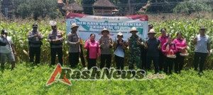 Polsek Sidemen Melaksanakan Panen Raya Jagung Serentak Kuartel III
