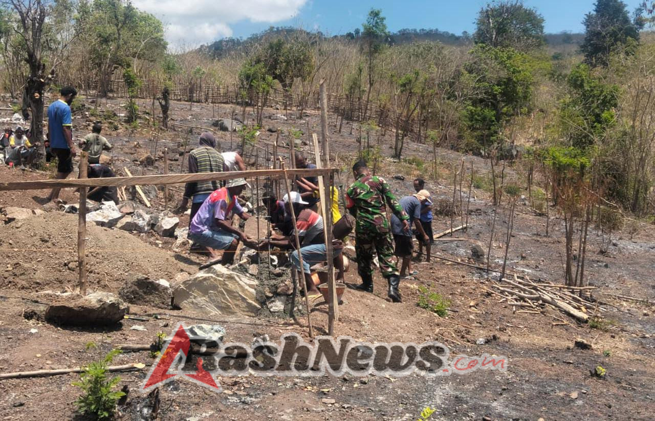 Babinsa Koramil 1618-03/Insut Bantu Bangun Rumah Warga di Desa Fafinesu C, Wujud Kepedulian TNI kepada Rakyat