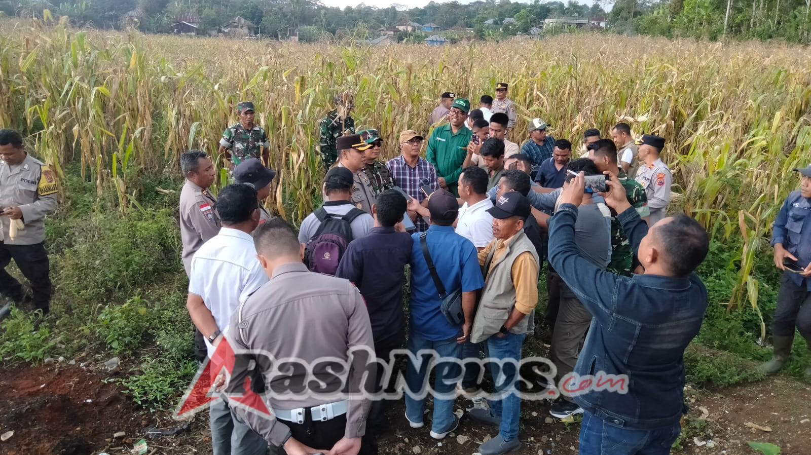 Panen Raya Jagung Serentak, Dandim 1612/Manggarai: Ketahanan Pangan Dimulai dari Desa