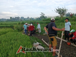 Babinsa Desa Peninjoan Dorong Perekonomian Warga Lewat Gotong Royong Jalan Usaha Tani