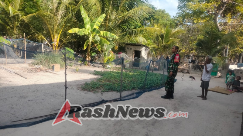 Babinsa Koramil 03/Batutua Ajak Warga Desa Mbiulombo Perbaiki Pagar Rumah dan Kebun