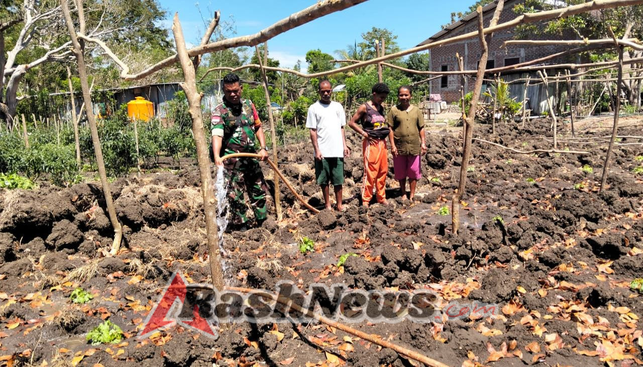 Babinsa Koramil 1618-04/Bisel Bantu Petani di Tainsala Wujudkan Ketahanan Pangan