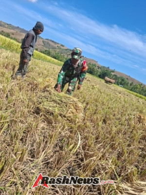 Babinsa Koramil 1602-04 Gencarkan Komsos dan Han Pangan di Desa Kotabaru