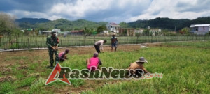 Panen Raya Hortikultura di Sernaru Raba, TNI-Polri Jadi Motivator Petani