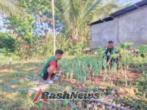 Anggota Satgaster Pos Makir Bantu Warga Dalam Merawat Tanaman Daun Bawang