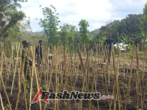 TNI dan Petani Hortikultura Bersinergi Wujudkan Ketahanan Pangan